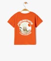 54WALAI orange