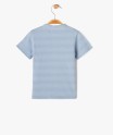 54WEASAT bleu