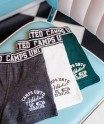 70SADIER vert