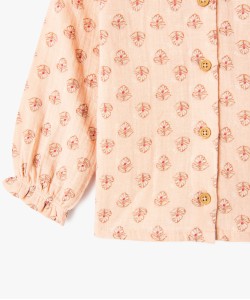 53WAGOU rose