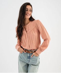 95WACLA rose