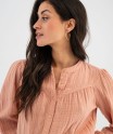 95WACLA rose