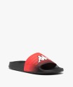 NOLESIT-5 ROUGE