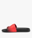 NOLESIT-5 ROUGE