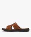 20TARITO marron